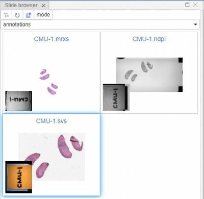 Picture#4. Navigation panel in Slides mode