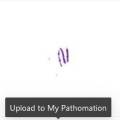 pma.start_upload_button.jpg