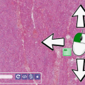 rotate.png